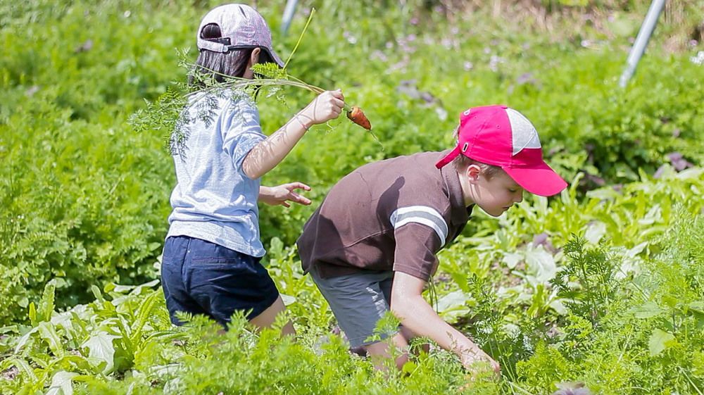 Tou-Cheng Leisure Farm Hotel Toucheng Zewnętrze zdjęcie