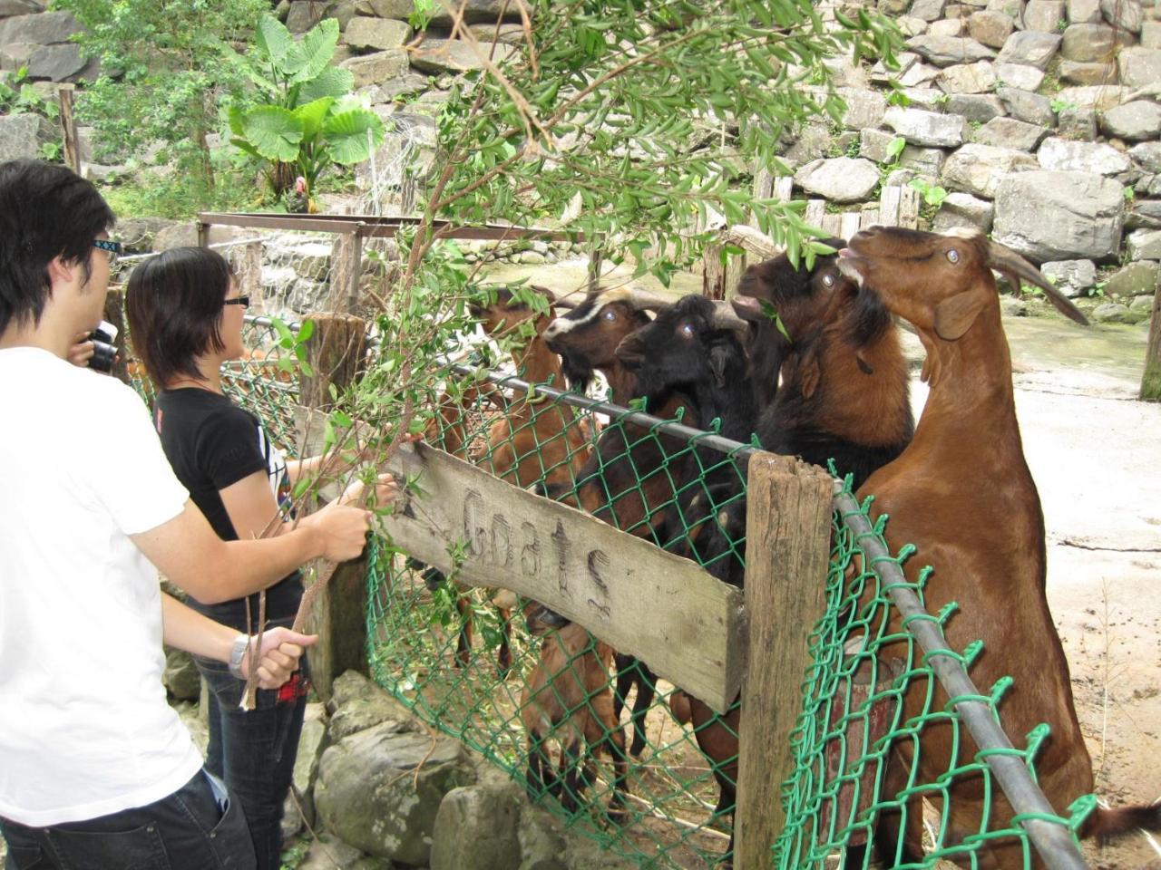 Tou-Cheng Leisure Farm Hotel Toucheng Zewnętrze zdjęcie